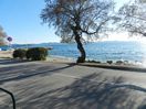 Ubytovn Chorvatsko Zadar-Diklo 9