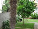 Ubytovn Chorvatsko Vodice 9